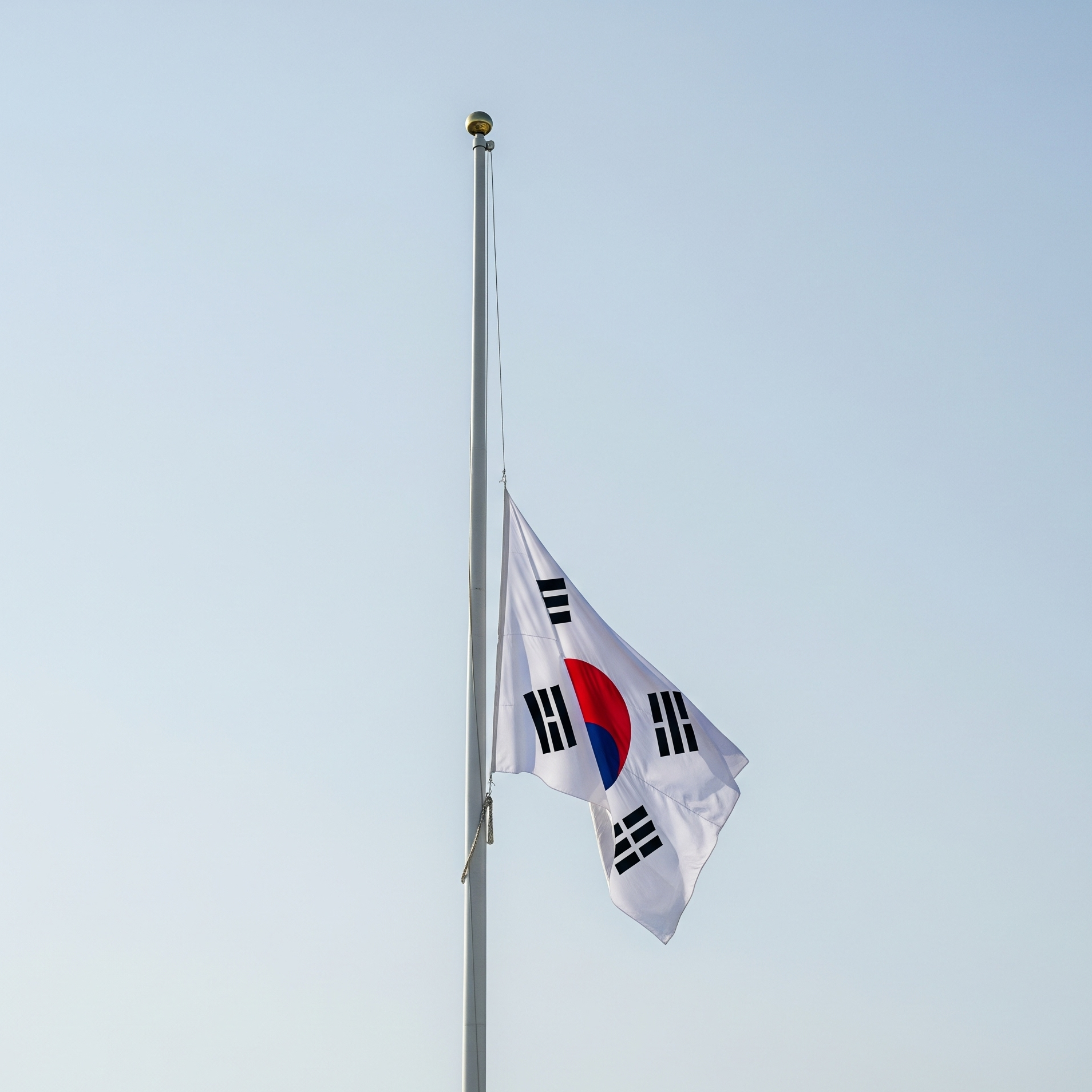 현충일에 조기로 계양된 태극기