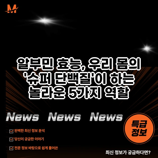 알부민 효능, 우리 몸의 '슈퍼 단백질'이 하는 놀라운 5가지 역할