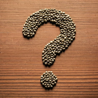 자주 묻는 질문 Q&amp;A