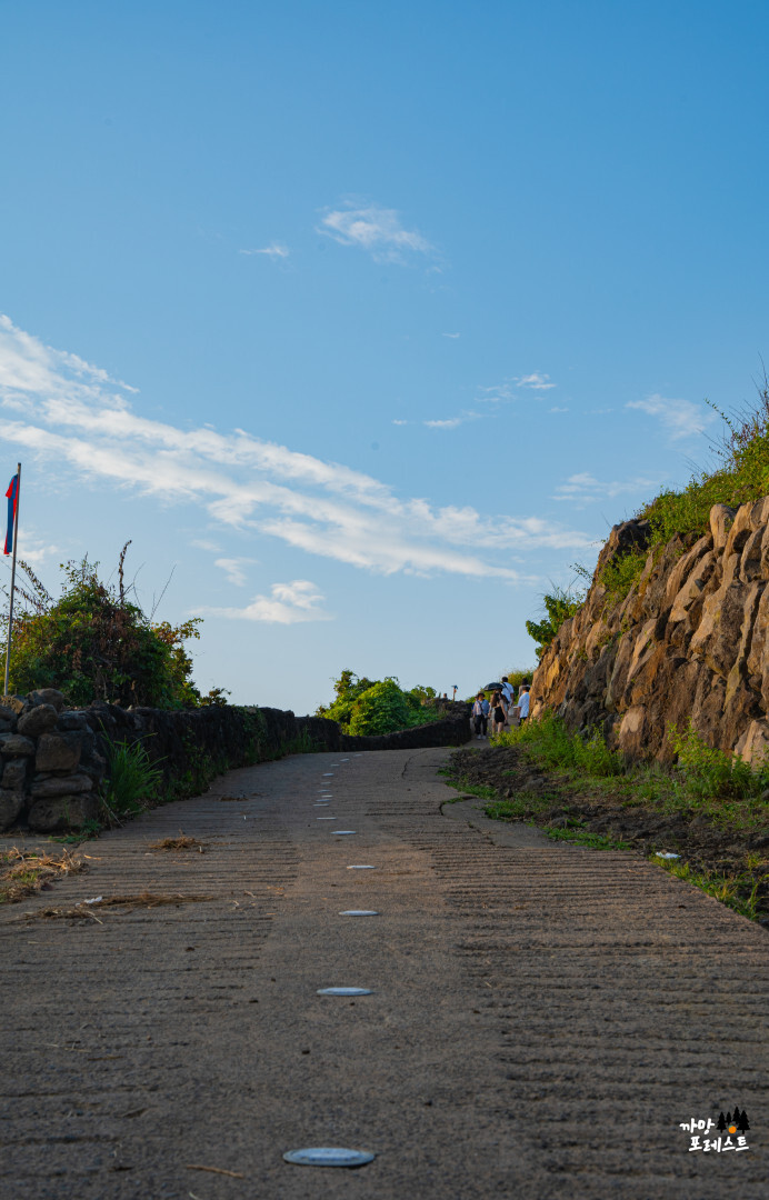 함덕 서우봉 올라가는길