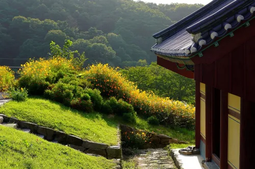 여행 지원금을 받을 수 있는 국내 여행지 풍경