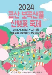 4월-축제-금산-보곡산골-산벚꽃-축제