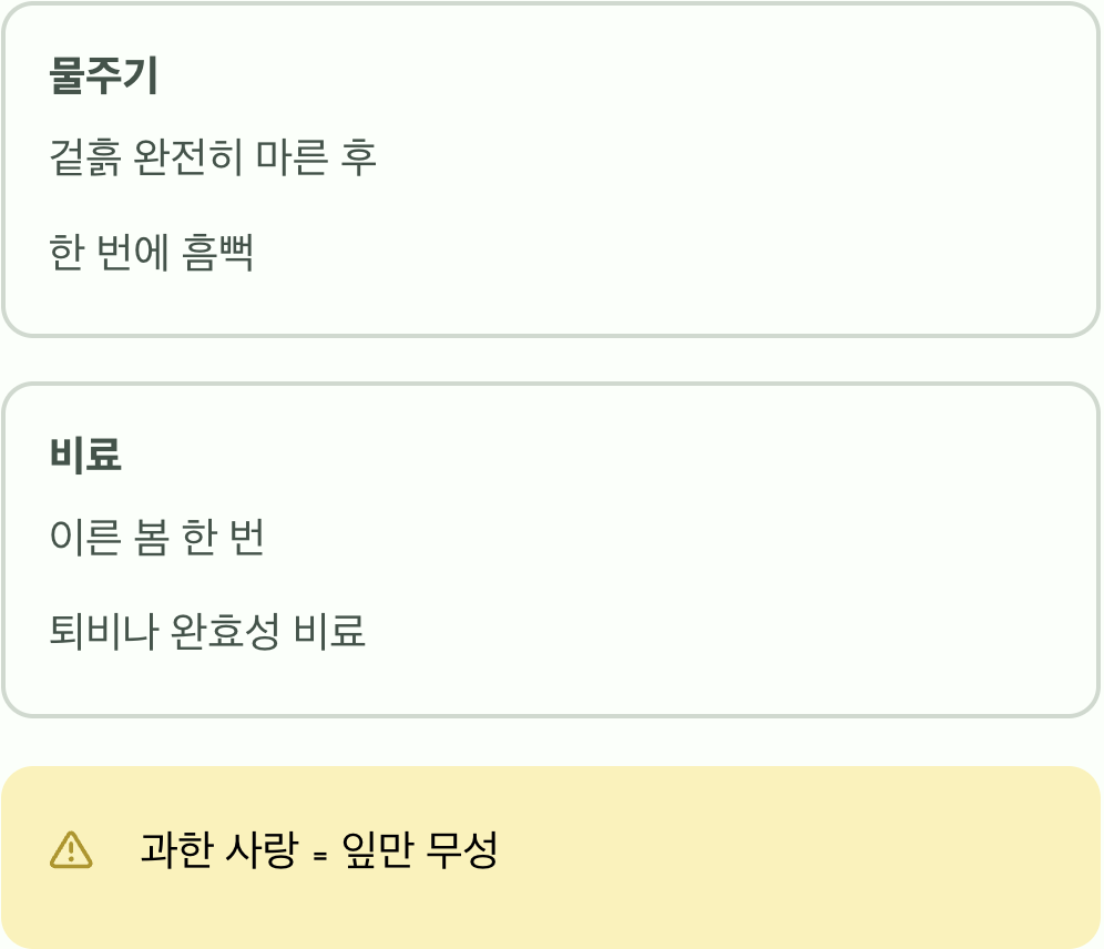 물과 거름, 과한 사랑은 금물