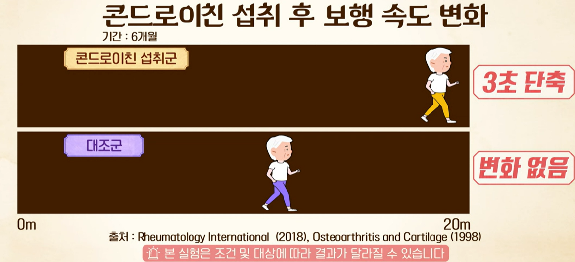 콘드로이친 효능