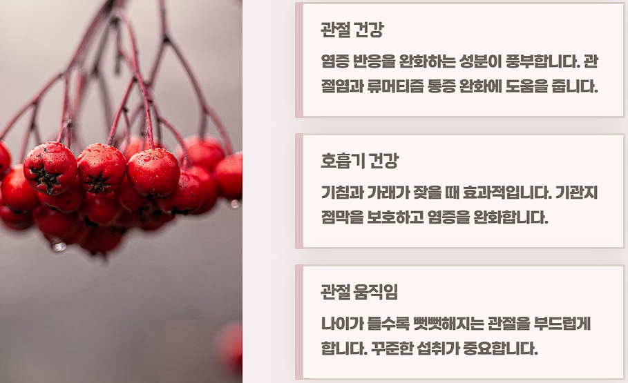 마가목 효능 부작용 열매 먹는법
