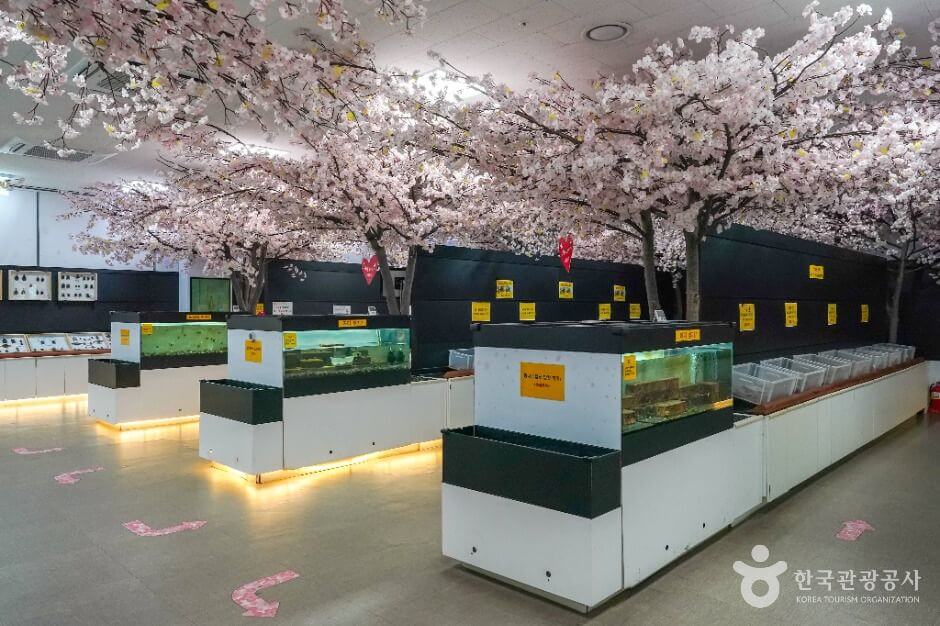 창녕 가볼만한곳 베스트 10