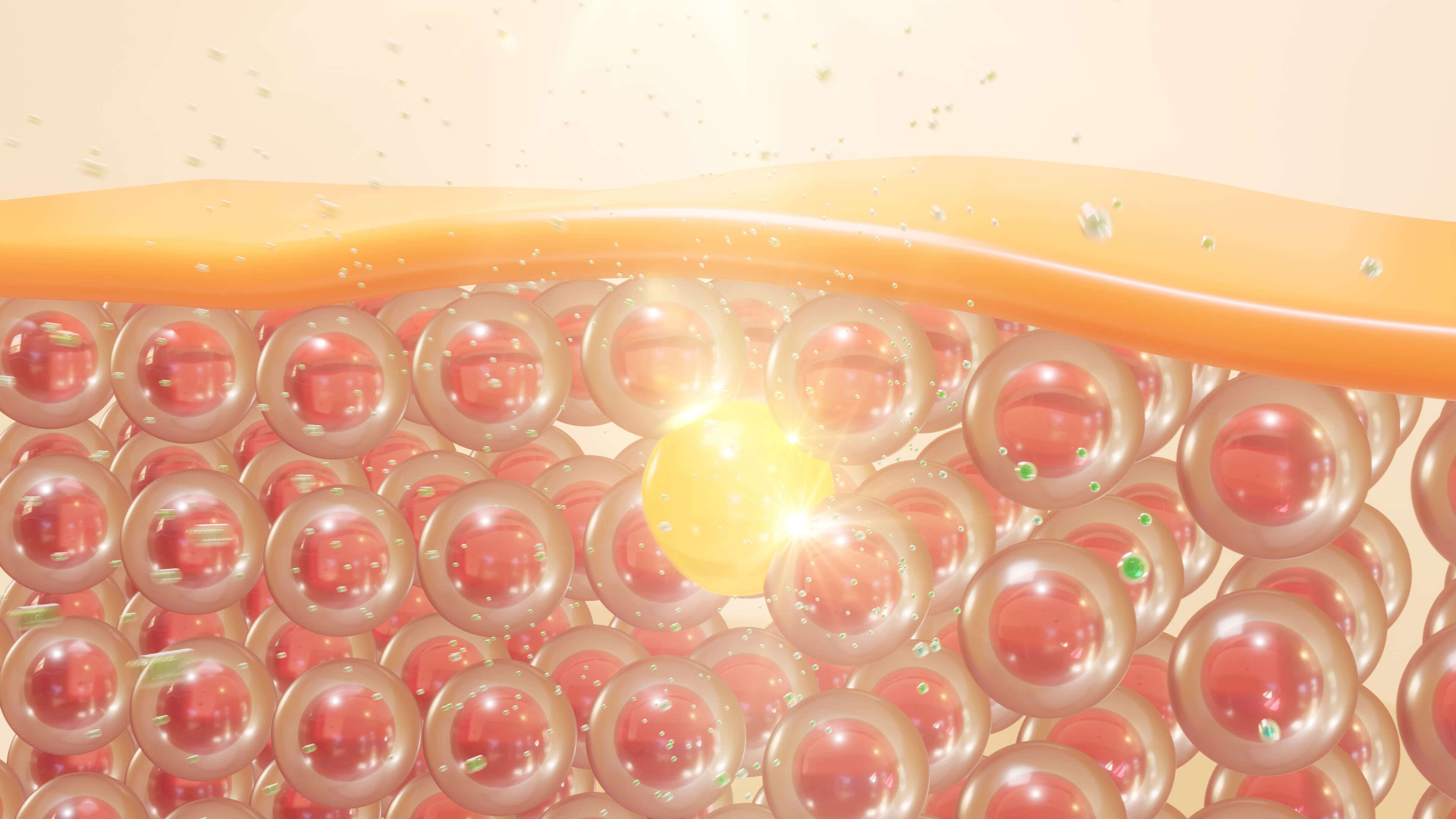 글루타치온-효능