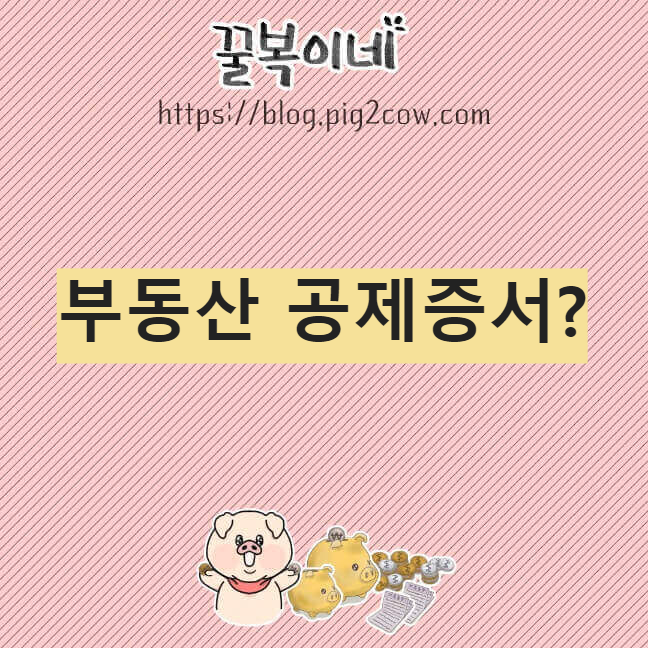 경제공부