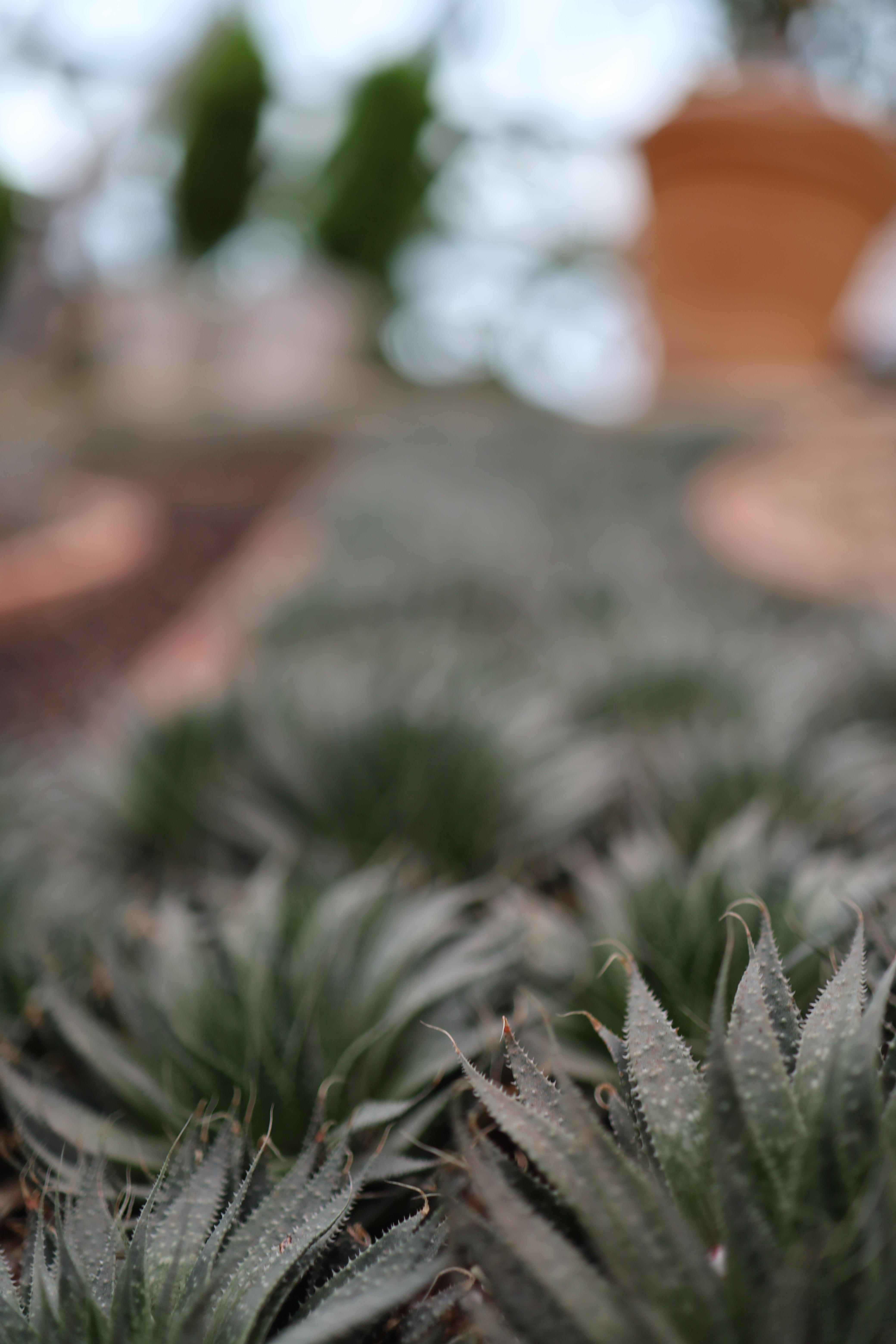 마우스 우클릭, 다른 이름으로 사진 저장 img |무료 이미지 다운로드