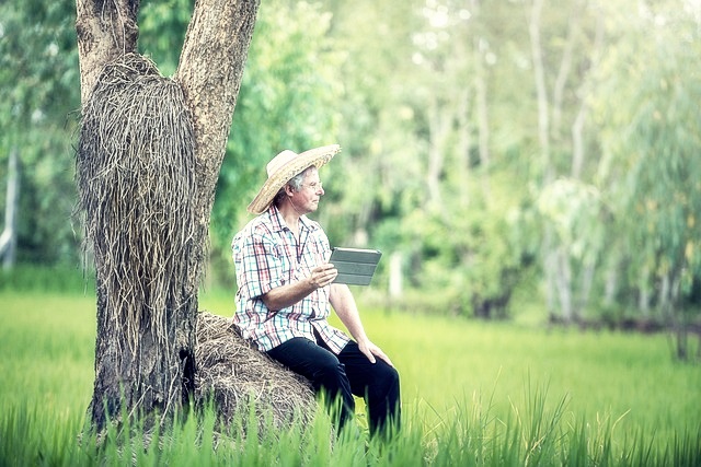 워크넷 직업심리검사