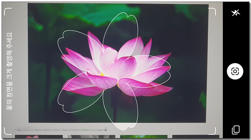 λ€μ κ½κ²μ νλ©΄