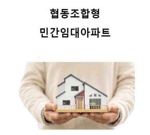 제주도 성지하이츠 N84 노형