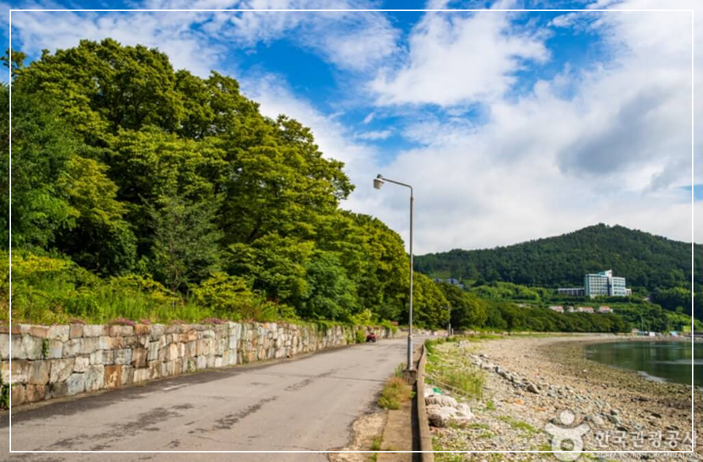 남해 가볼만한곳 베스트10 물건 방조어부림