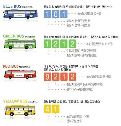 버스색깔