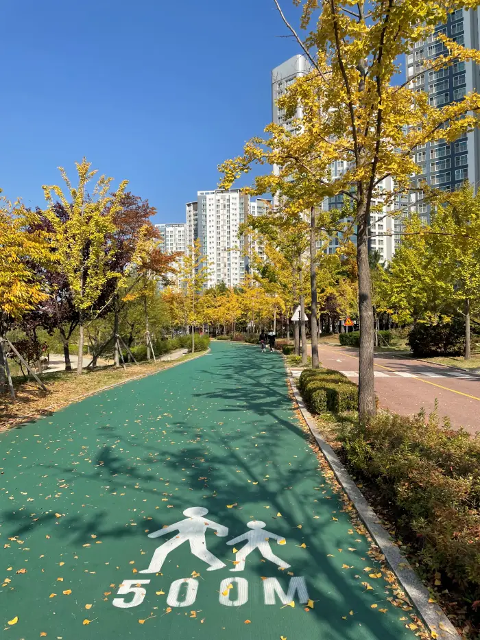 청라 호수공원 걷기