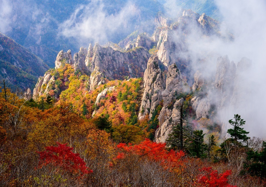 설악산 단풍 절경