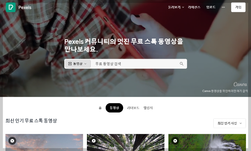 저작권 무료 동영상 다운로드 사이트 추천, pexels 픽셀즈