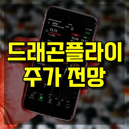 드래곤플라이 주가 전망