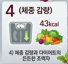 비트 효능