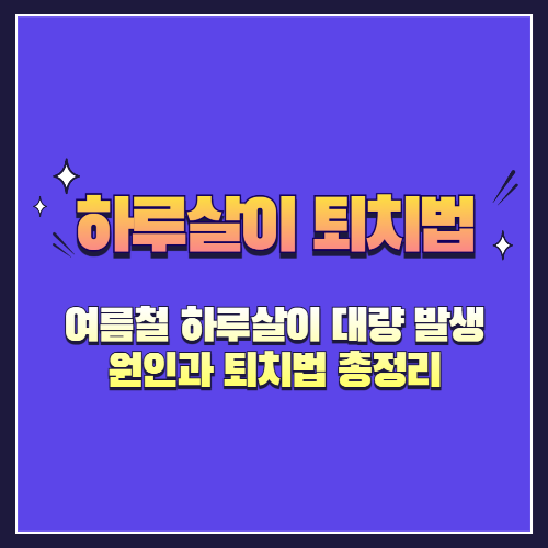 여름철 하루살이 대량 발생 원인과 퇴치법 총정리