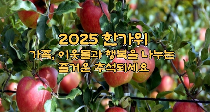 갤러리 이미지 1(사용자 교체)