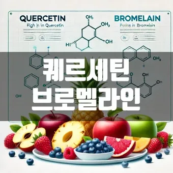 퀘르세틴 효능부족 현상복용방법 시기부작용많은 음식적정량 안내_10