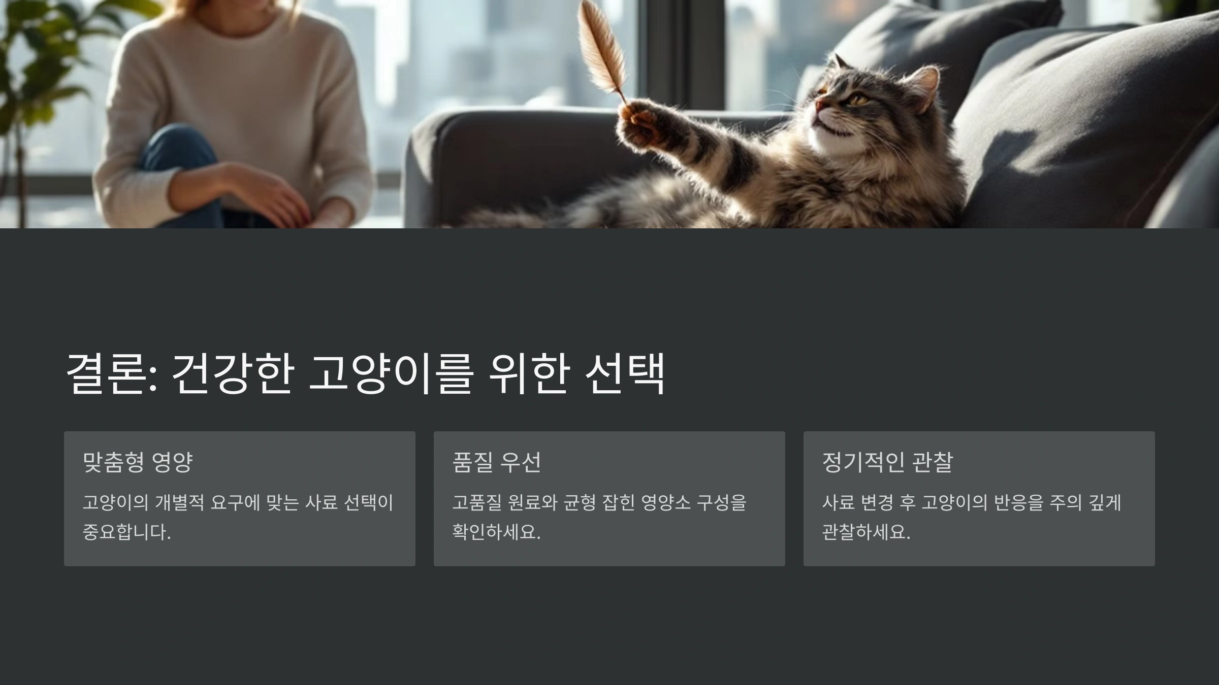 2025년 인기 고양이 사료 추천 TOP 10
2025년 인기 고양이 사료 추천 TOP 10
