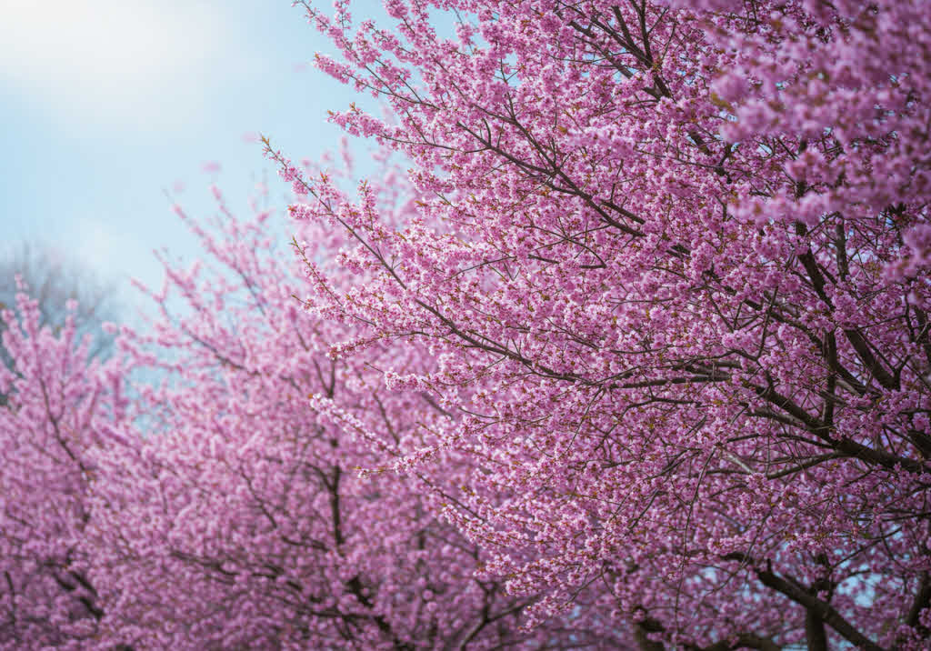 기초연금과 노후준비: 어떻게 해야할까?