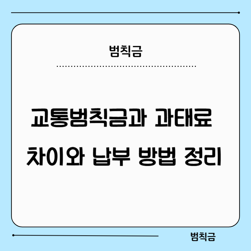 교통범칙금과 과태료 차이 정리