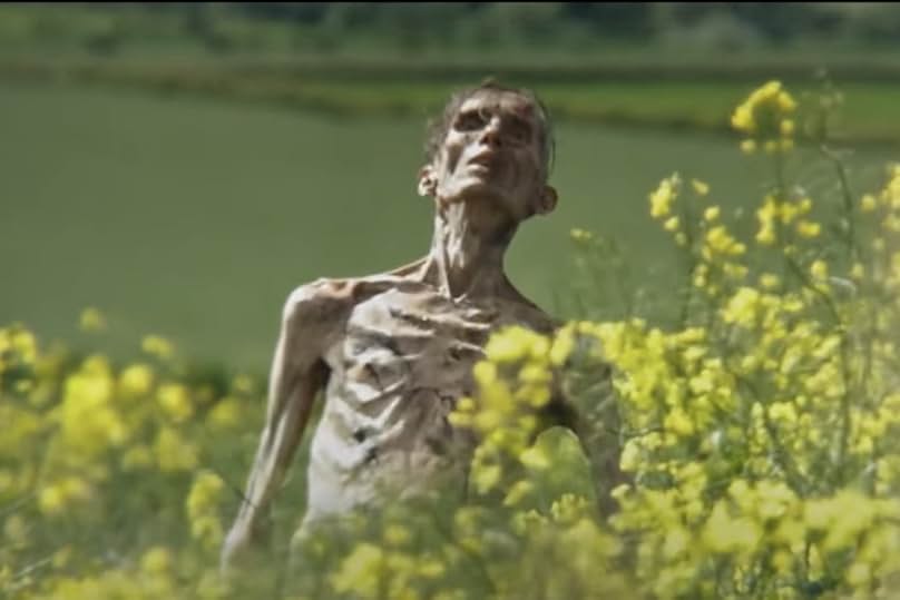 [스릴러 공포영화 추천] 28년 후 정보 - 줄거리&amp;#44; 리뷰 후기&amp;#44; 청불 등급(연령)/개봉일/출연진/시리즈