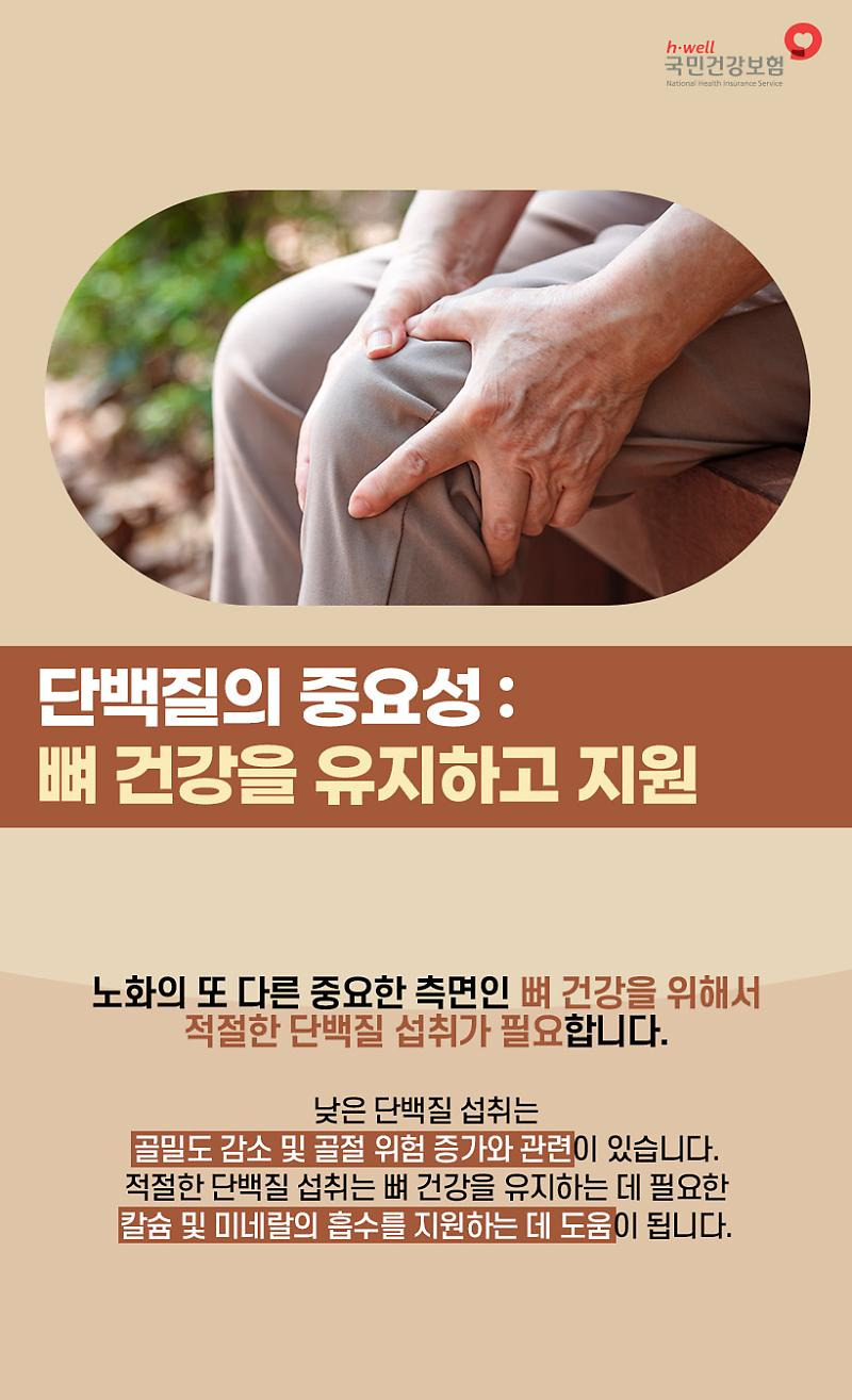 단백질의 중요성/ 출처 - 국민건강보험