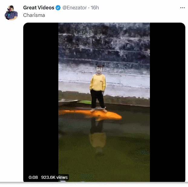 Amazing! animals!