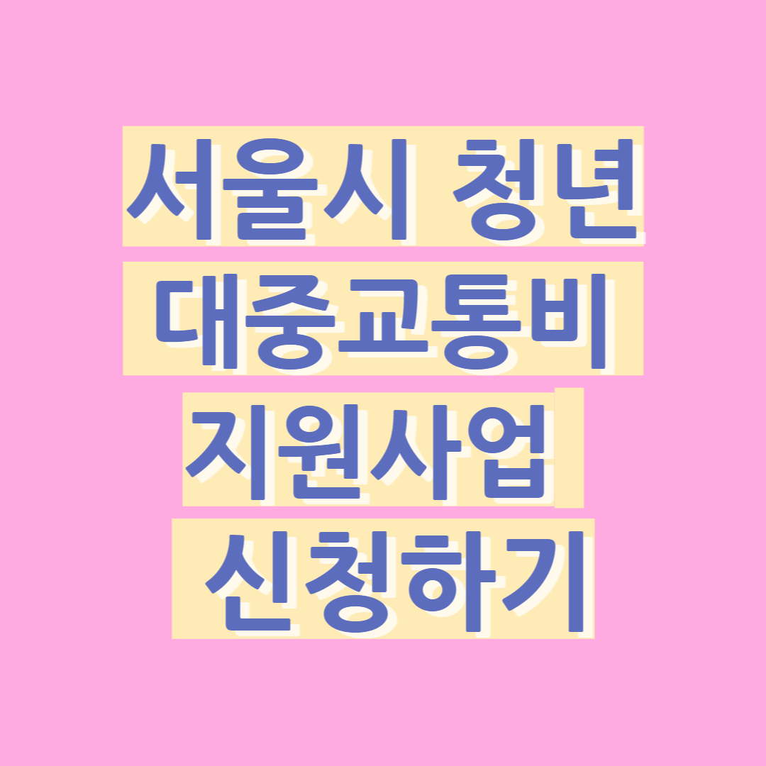 청년 대중교통비 지원