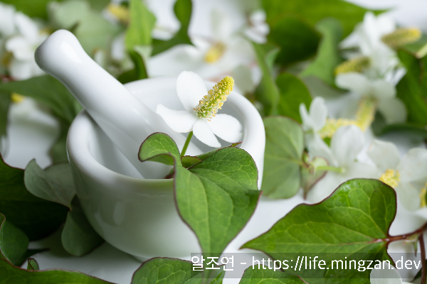 여드름에 좋기로 유명한 알 사람은 다 아는