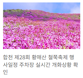 합천 황매산 철쭉제
