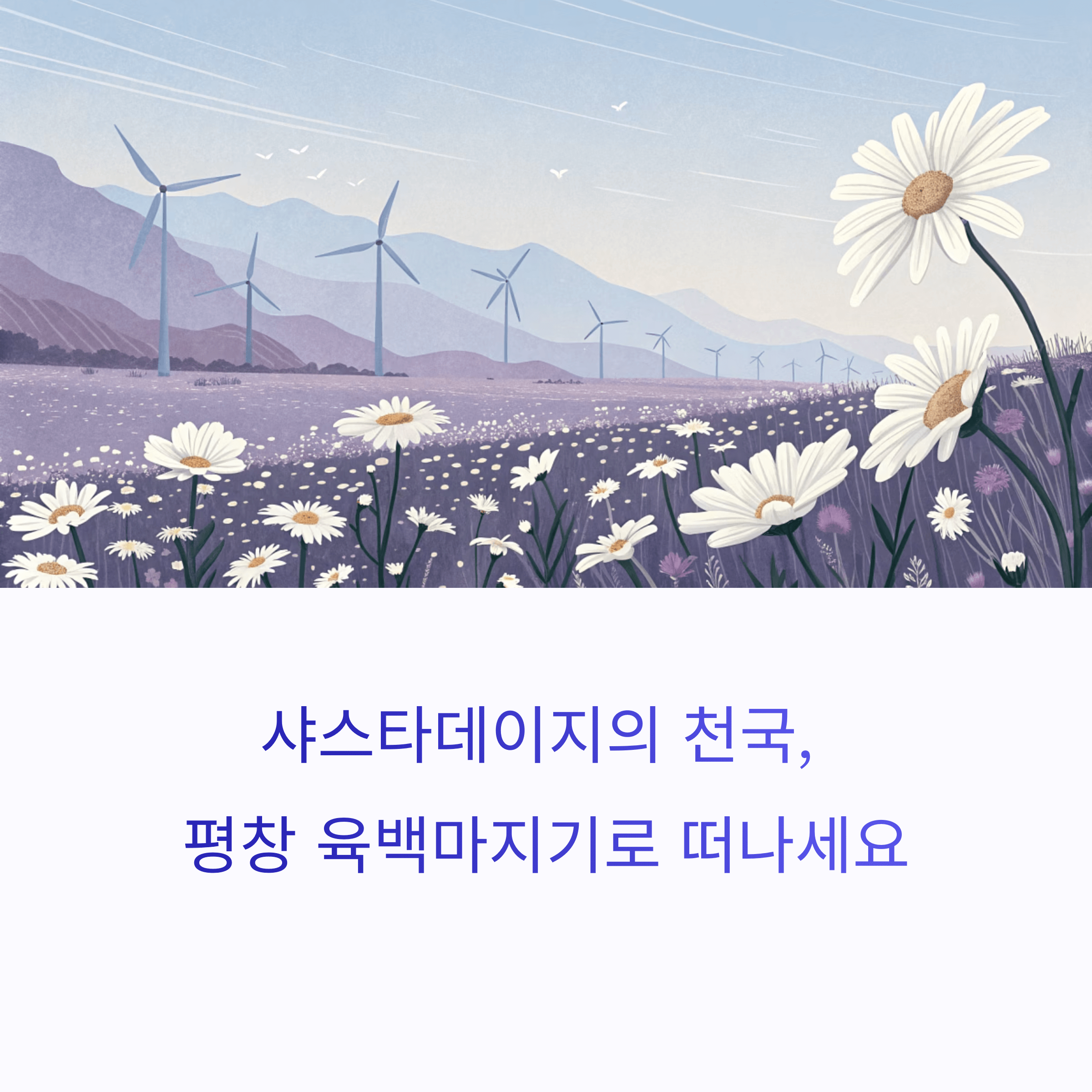 샤스타데이지가 가득한 평창 육백마지기 풍력발전 풍경 일러스트, 여행 홍보 문구 포함
