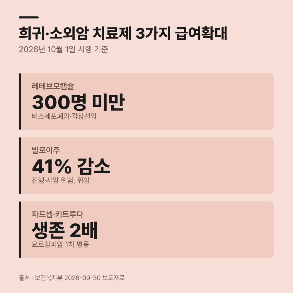 희귀 소외암 치료제 건강보험 적용 대상 약제는 무엇일까요?