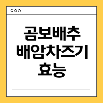 곰보배추-배암차즈기-효능