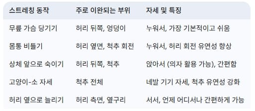 허리-아플때-집에서-하는-초간단-스트레칭-5가지-동작-이완부위-자세-특징