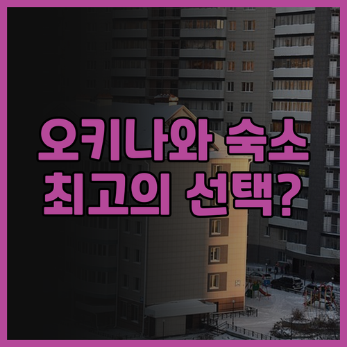 다이와로이넷호텔나하 오모로마치프리미어