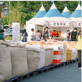 영천한약축제