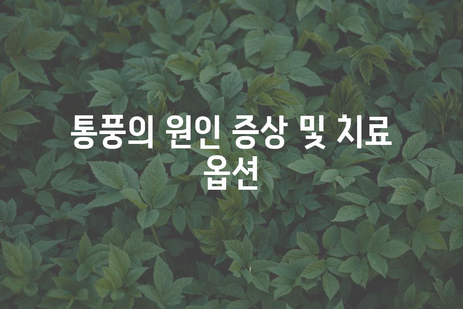 통풍의 원인 증상 및 치료 옵션
