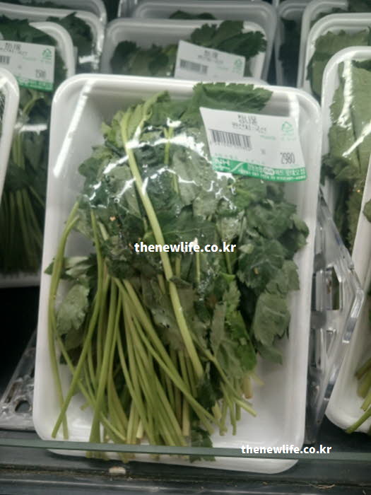 참나물 효능을 극대화하기 위해 다른 식재료와 궁합을 맞춘 섭취 방법 실사진