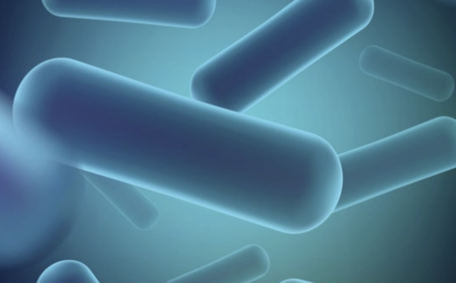 유산균 이미지
유산균 약
프로바이오틱스