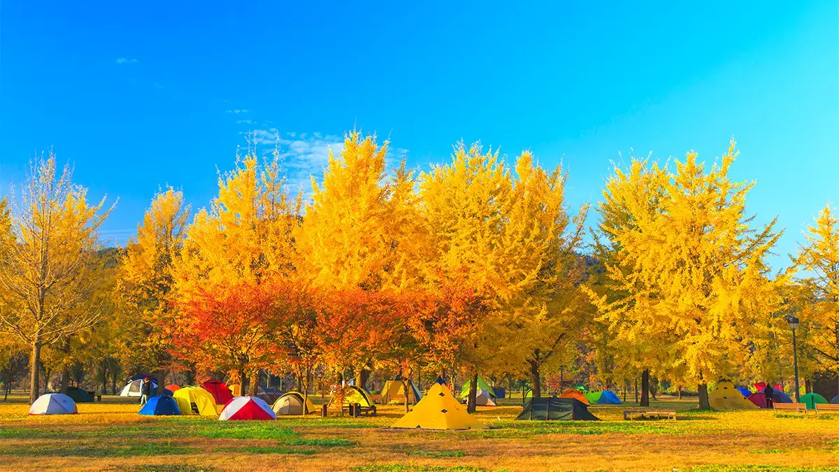 강천섬유원지 (경기도 여주)