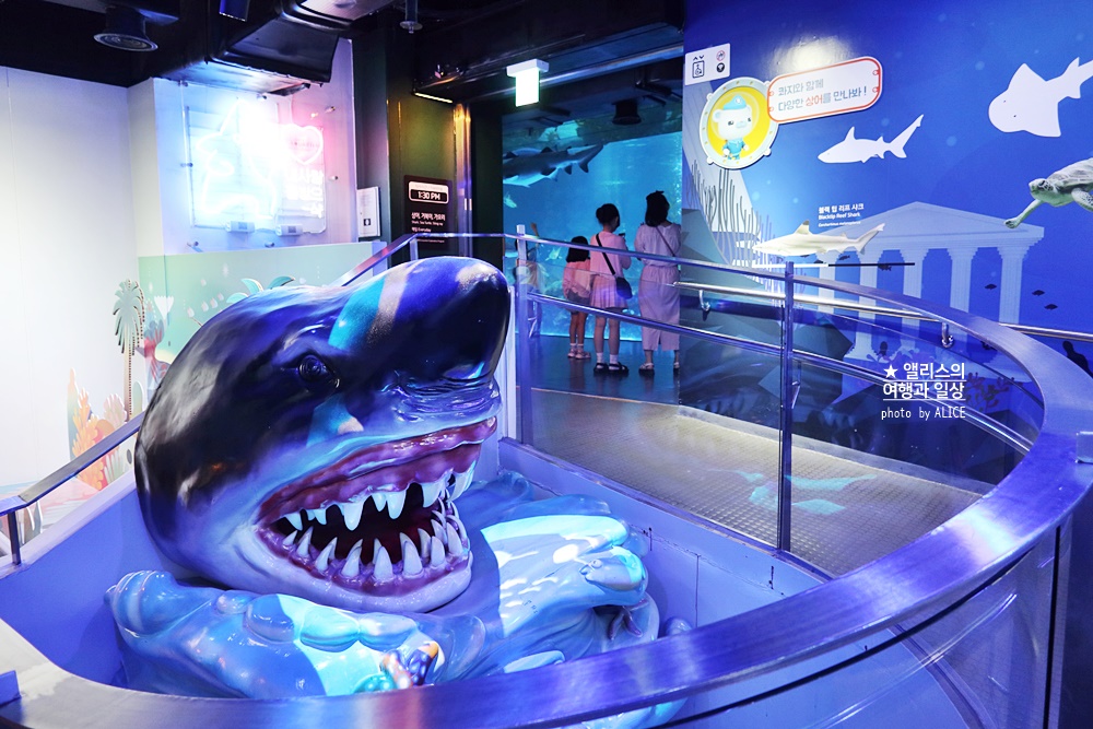 코엑스 아쿠아리움 입장권 할인예약 방법, 대중교통 가는 방법, 참물범 펭귄 비버 상어 보러가자!