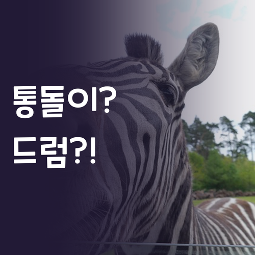 통돌이 세탁기, 드럼 세탁기 뭐가 좋..