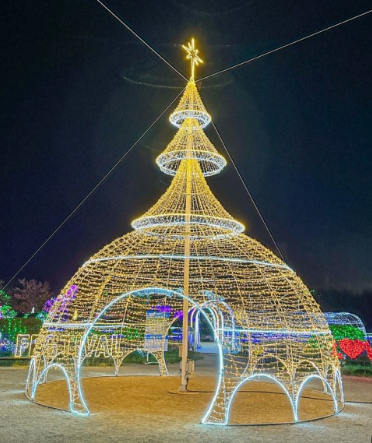 365일 빛축제 가을에 꼭 가봐야할 빛축제 BEST 5