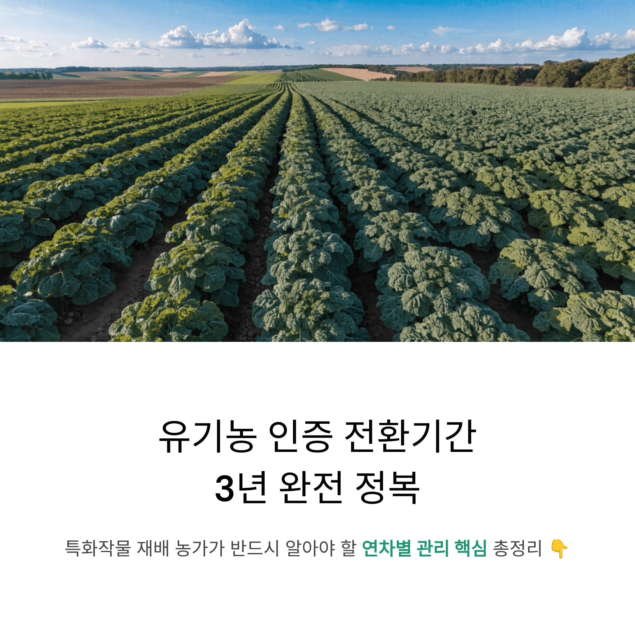 유기농 인증 전환기간 3년, 특화작물 재배 농가가 반드시 알아야 할 관리 포인트