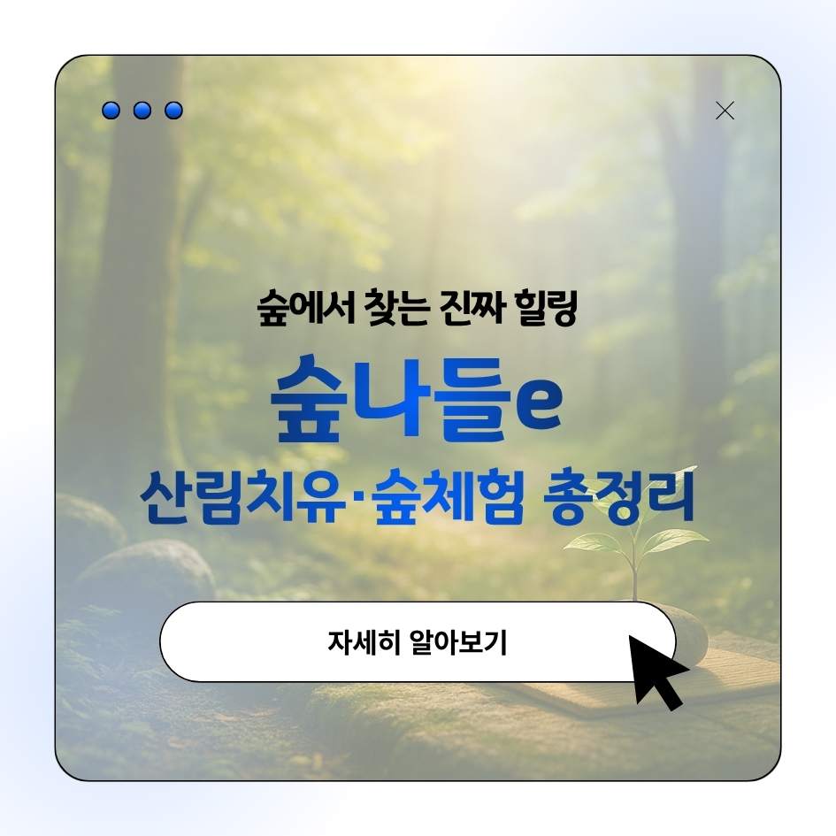 2025 숲나들e 체험 프로그램 후기 및 산림치유 코스 가이드 이미지|자연 속 힐링여행 안내